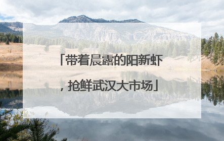 带着晨露的阳新虾，抢鲜武汉大市场