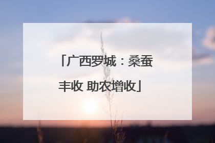 广西罗城：桑蚕丰收 助农增收