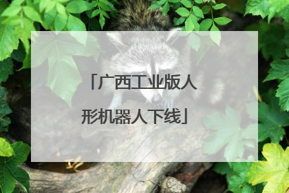 广西工业版人形机器人下线