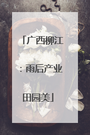 广西柳江：雨后产业田园美