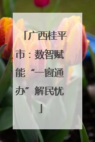 广西桂平市：数智赋能“一窗通办”解民忧