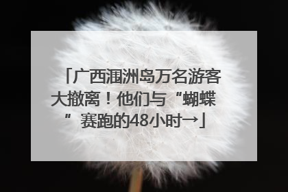 广西涠洲岛万名游客大撤离！他们与“蝴蝶”赛跑的48小时→