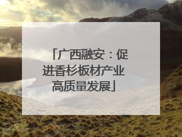 广西融安：促进香杉板材产业高质量发展