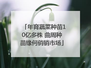 年育蔬菜种苗10亿多株 曲周种苗缘何俏销市场