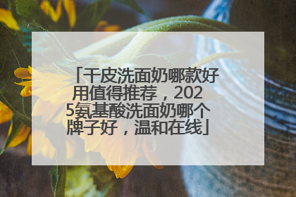 干皮洗面奶哪款好用值得推荐，2025氨基酸洗面奶哪个牌子好，温和在线