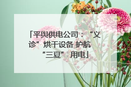 平舆供电公司：“义诊”烘干设备 护航 “三夏” 用电