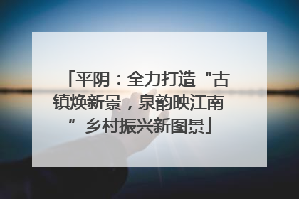 平阴：全力打造“古镇焕新景，泉韵映江南”乡村振兴新图景