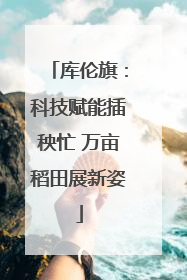 库伦旗：科技赋能插秧忙 万亩稻田展新姿
