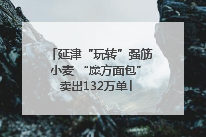 延津“玩转”强筋小麦 “魔方面包”卖出132万单