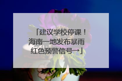 建议学校停课！海南一地发布暴雨红色预警信号→
