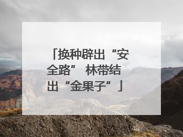 换种辟出“安全路” 林带结出“金果子”
