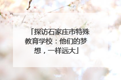 探访石家庄市特殊教育学校：他们的梦想，一样远大