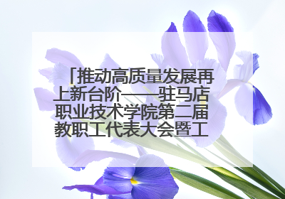 推动高质量发展再上新台阶——驻马店职业技术学院第二届教职工代表大会暨工会会员代表大会第四次会议成功召开