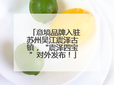 意境品牌入驻苏州吴江震泽古镇，“震泽四宝”对外发布！