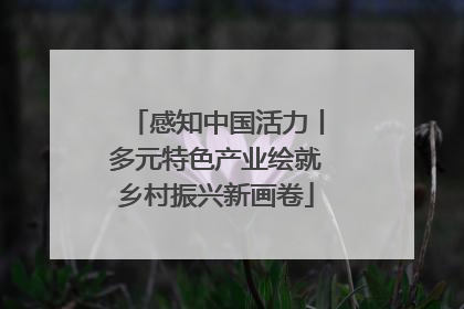 感知中国活力丨多元特色产业绘就乡村振兴新画卷