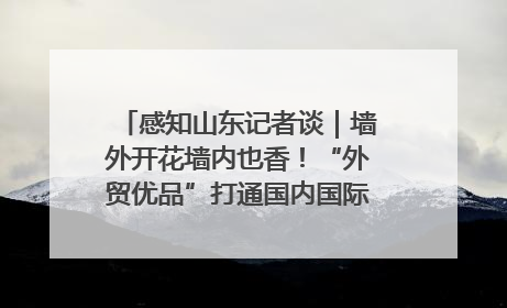 感知山东记者谈｜墙外开花墙内也香！“外贸优品”打通国内国际市场“旋转门”