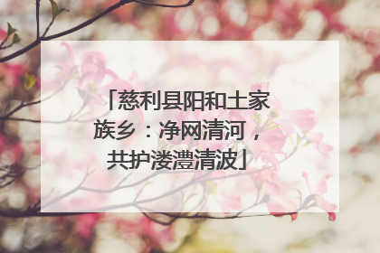 慈利县阳和土家族乡：净网清河，共护溇澧清波