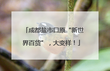 成都盐市口原“新世界百货”，大变样！
