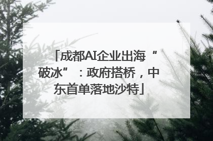 成都AI企业出海“破冰”：政府搭桥，中东首单落地沙特