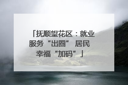 抚顺望花区：就业服务“出圈” 居民幸福“加码”