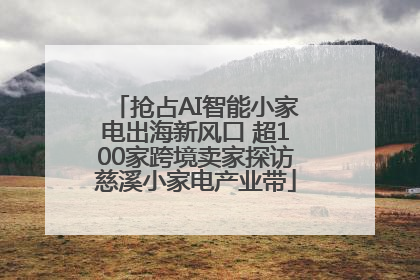 抢占AI智能小家电出海新风口 超100家跨境卖家探访慈溪小家电产业带