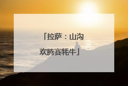 拉萨：山沟欢腾赛牦牛
