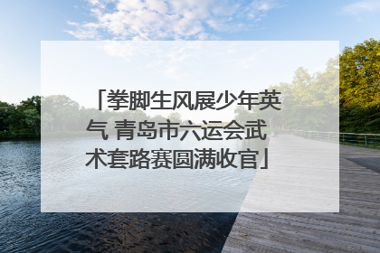 拳脚生风展少年英气 青岛市六运会武术套路赛圆满收官