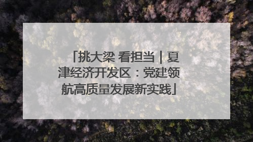 挑大梁 看担当｜夏津经济开发区：党建领航高质量发展新实践