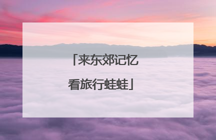 来东郊记忆 看旅行蛙蛙