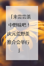来尝尝茶中野味吧！庆元荒野茶推介会举行
