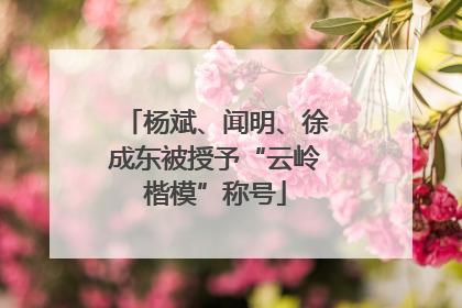 杨斌、闻明、徐成东被授予“云岭楷模”称号
