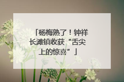 杨梅熟了！钟祥长滩镇收获“舌尖上的惊喜”