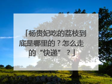 杨贵妃吃的荔枝到底是哪里的？怎么走的“快递”？
