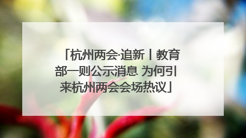 杭州两会·追新丨教育部一则公示消息 为何引来杭州两会会场热议