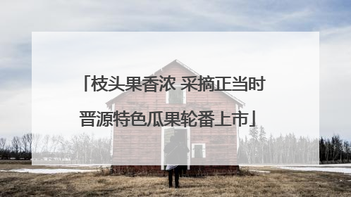 枝头果香浓 采摘正当时 晋源特色瓜果轮番上市
