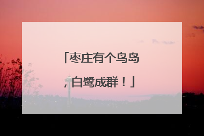 枣庄有个鸟岛，白鹭成群！