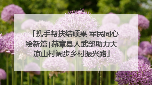 携手帮扶结硕果 军民同心绘新篇∣赫章县人武部助力大凉山村阔步乡村振兴路