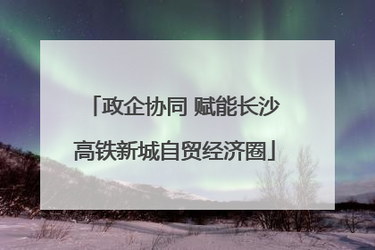 政企协同 赋能长沙高铁新城自贸经济圈