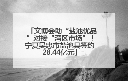 文博会助“盐池优品”对接“湾区市场”！宁夏吴忠市盐池县签约28.44亿元