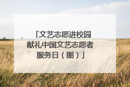 文艺志愿进校园 献礼中国文艺志愿者服务日（图）
