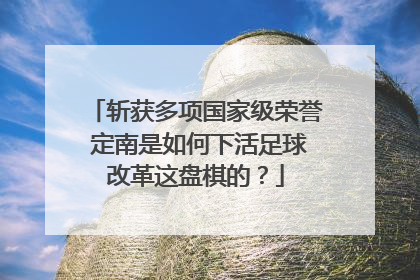 斩获多项国家级荣誉 定南是如何下活足球改革这盘棋的？