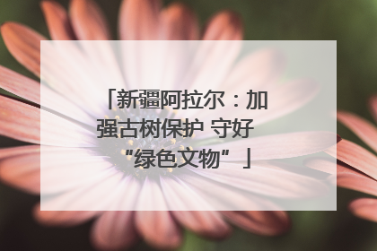 新疆阿拉尔：加强古树保护 守好“绿色文物”