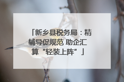 新乡县税务局：精辅导促规范 助企汇算“轻装上阵”