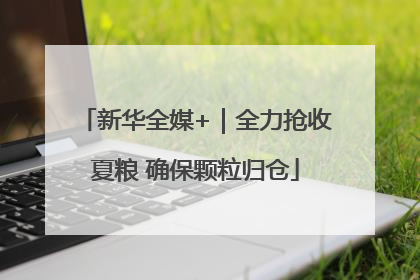 新华全媒+｜全力抢收夏粮 确保颗粒归仓