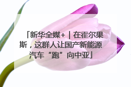新华全媒+｜在霍尔果斯，这群人让国产新能源汽车“跑”向中亚