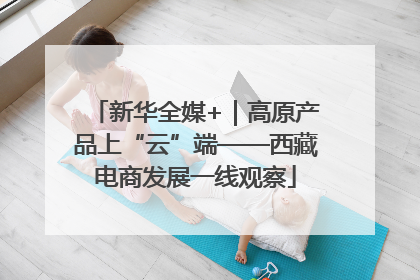新华全媒+｜高原产品上“云”端——西藏电商发展一线观察
