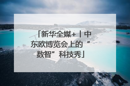新华全媒+丨中东欧博览会上的“数智”科技秀