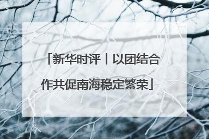 新华时评丨以团结合作共促南海稳定繁荣