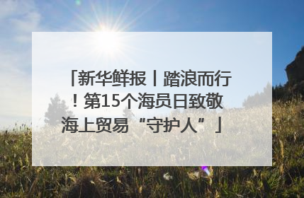 新华鲜报丨踏浪而行！第15个海员日致敬海上贸易“守护人”