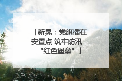 新晃：党旗插在安置点 筑牢防汛“红色堡垒”